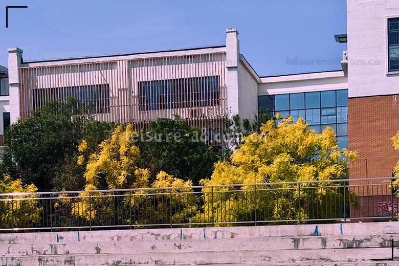 绿茵场上飞驰 足球应声入网